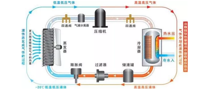 哈尔滨香蕉视频入口